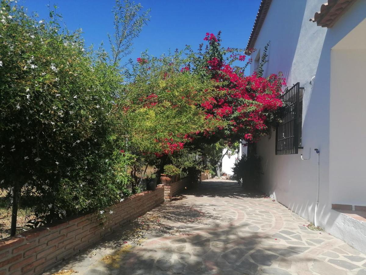 הוילה Viñuela Casa Luis מראה חיצוני תמונה